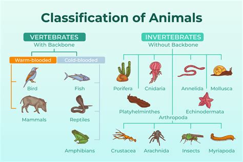 What Animals Like Music: An Insight into the Animal Kingdom’s Response to Harmony